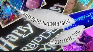 #Exploring Harry Potter : Forbidden Forest Cedar Creek, Tx