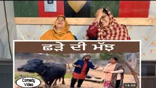 Chhade di majh … Punjabi comedy short movie || Punjabi Reaction