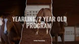 Yearling/2 year old program 