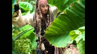 The Boat Drunks - A Pirate On The Caribbean.wmv