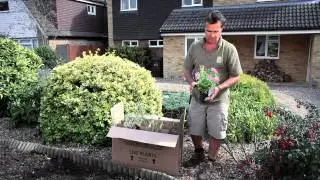 Garden on a roll - Instant Garden Borders