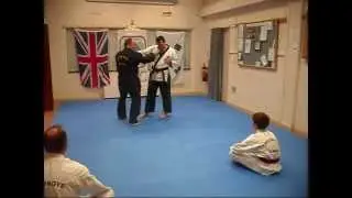 Cheongye Kwan Techniques