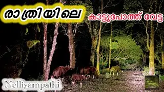 വന്യ മൃഗങ്ങൾ നിറഞ്ഞ മഞ്ഞിന്റെ താഴ്‌വര