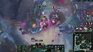 Grey Warwick Jungle