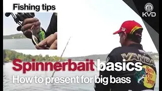 Kevin VanDam&rsquo;s Spinnerbait Secrets: Catch More Bass with the Right Technique - clear water fishing