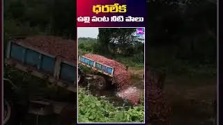 Onion Farmers Struggle In AP| ధరలేక ఉల్లి పంటను నీటి పాలుచేసిన రైతు  | #DishaTV