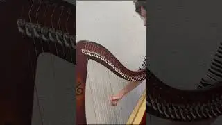 Understanding the Harp: What is a Lever Harp? 🎶