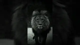 Success needs consistency | motivation | motivational shorts | dark theme shorts❤️&zwj;🔥💯| #shorts
