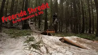 Downhill | Freeride | Mountain Bike Shredit