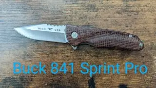 Everything You Need To Know About The Buck 841 Sprint Pro