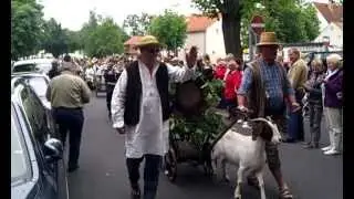 Traditioneller Festumzug zum Müggelheimer Angerfest 2012