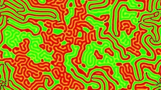 reaction diffusion experiment pr test 07 prs 392   competing regions with patterns