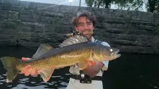 Mystery Catch in a SECRET Creek While Fishing For Trout (NJ)