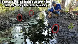 Pecah Rekor Baru!! Momen Sensasi Tarikan Belut Segede Gaban