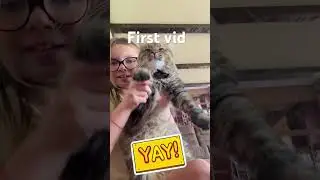 First vid Bellathecat