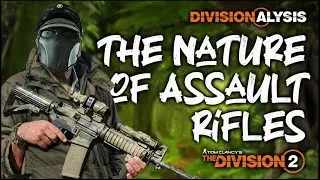 Division 2 | The Nature of Assault Rifles | Divisionalysis