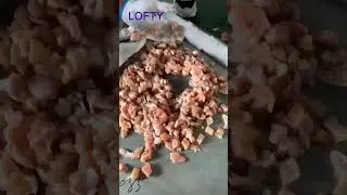 Chicken Cube Cutting Machine--Meat Dice Cutting Machine