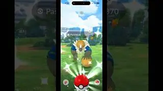 ✨SHINY PASSIMIAN✨Double Sparkles animation! #pokemongo #shinypokemon