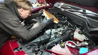 stelvio Quadrifoglio Service.