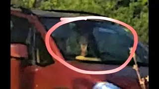 Invisible People , Strange Story, *Actual Photo*  Real Mystery is Terrifying #scary #strange