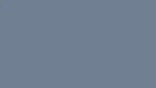 Slate Gray