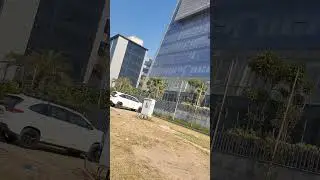 😎 Netsmartz Corporate Building part 2. #netsmartz #softwaredevelopment #company #corporatelife