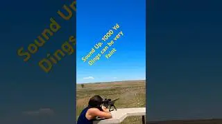 M40A3 Marine Scout Sniper Rifle. 1000 Yards. #train #shooting #sniper #longrange