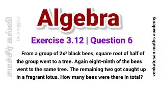Algebra Exercise 3.12 Question 6 How many bees are there in total #class 10