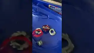 Xcaluis vs pheinox