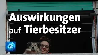 Corona-Virus: K&ouml;nnen sich auch Hunde und Katzen anstecken?