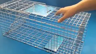how to make an animal trap