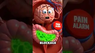 Appendix: The Useless Time Bomb! 💣🧨