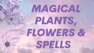 Plant Magick, Green Witchcraft & Spells!
