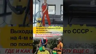о поиске работы в Испании