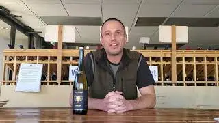 Vinous Reverie - St Urban Hof Riesling as Deal of the Week