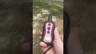 Force Free Dog Training with Tools
