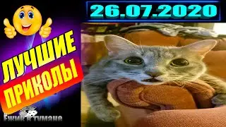 Подборка Приколов 2020 BEST CUBE 2020 Лучшие Видео из Инстаграм BEST COUB 2020 Приколы ИЮЛЬ 2020