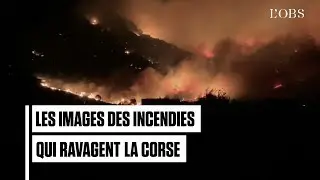 Le feu ravage 1.500 hectares de végétation en Corse