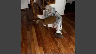 No Te Hagas (Salas)