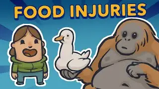 Food Injuries - Flappity Flap Podcast Animated - Ep 002