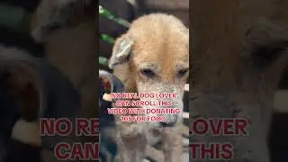#rescuedandloved #animallover #doglover #animalrescuer #animalrightsactivist #love #animalsrescuer
