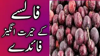 Falsa fruit benefits|Best False juice Recipe|Facts about Grewia fruit|Black Currant|Phalsa benefits.