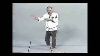 Huk Planas   American Kenpo Video 11   Form 5 Part 2