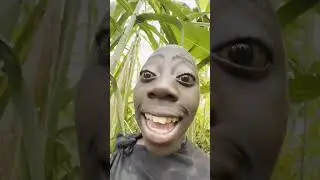#comedy #funny TANGY TANgy