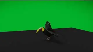 Yellow Throated Toucan Bird
