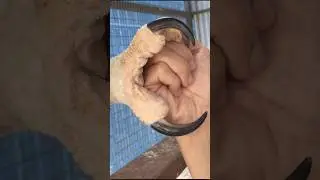 Редкие фотографии, которые вы, вероятно, никогда раньше не видели (Часть 5)