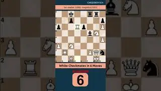 White Checkmates in 6 Moves swalter   mogielica