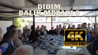Didim Taşburun Balık Mezatı 5 – Günün Taze Avları! | 4K 60 FPS
