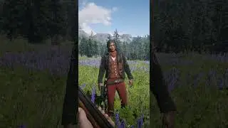 Будни хелпера #rdr2 #reddeadredemption #rdr2rp #redm #rdr2online #rdr2gameplay #redwest #redwestrp