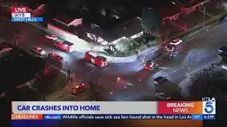 Car smashes into Los Angeles home
